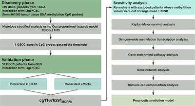 Epigenome-wide gene–age interaction study reveals reversed effects of MORN1 DNA methylation on survival between young and elderly oral squamous cell carcinoma patients